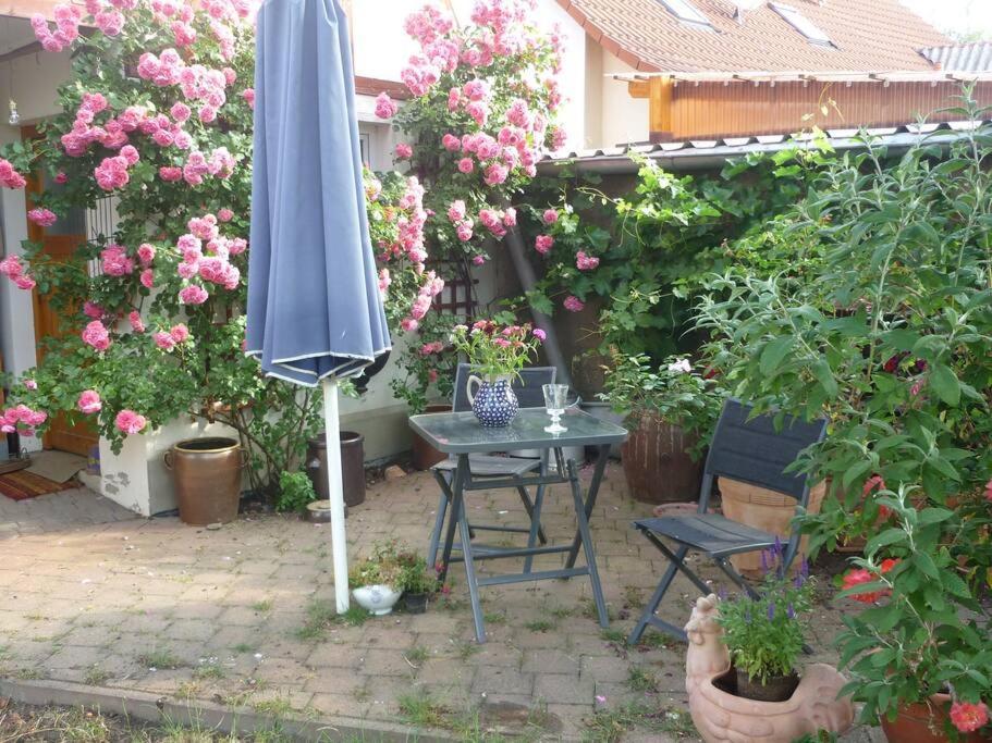 UtzbergErpelhaus公寓 外观 照片