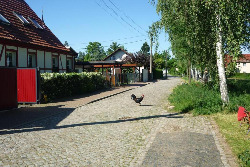 UtzbergErpelhaus公寓 外观 照片